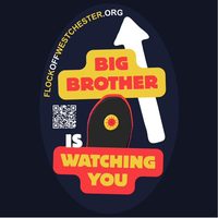 FlockOff! Westchester sticker — Big Brother is watching you